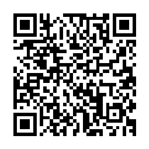 如果不是他被你当枪使把白家拖到现在的险地我会亲手杀掉他二维码生成