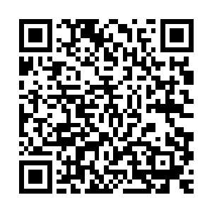 如果不是你……说不定爹爹早就在几年前就辞去这摄政王之位了二维码生成