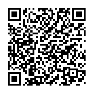 如果不是关键时候五羊追缉小队查到了焦礼在香港和广州的电话号码二维码生成