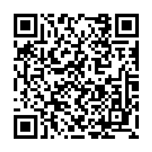 如果不是听到传闻秦宇已经是七品传奇宗师境界了二维码生成