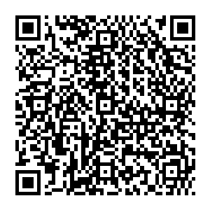 如果不是因为他在风天翔身上感受不到熟悉的内气波动他甚至怀疑风天翔是不是跟他一样是个内家古武术高手二维码生成