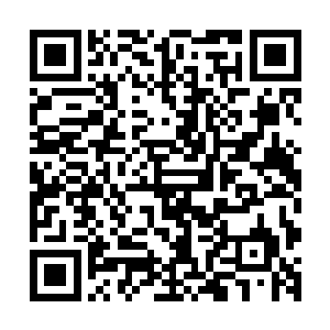 如果不是因为某种原因导致他们几乎不太出现在人们面前的话二维码生成