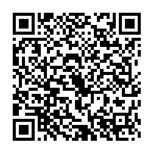 如果不是在转会市场上实在是没法给伊布拉希莫维奇找到下家的话二维码生成