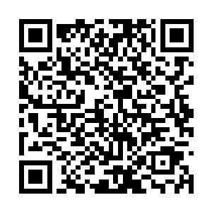 如果不是姬无咎反复重启幻境使得那一幕多次上演二维码生成