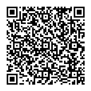 如果不是它们实力不够说不定就直接把黑仔拎起来暴揍一顿让他好好解释为喵把主人丢船舱里不管了二维码生成