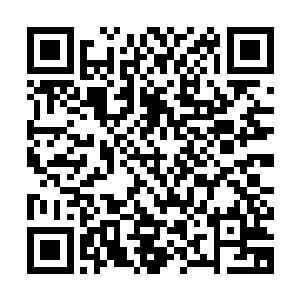 如果不是当年南广王丢失的宝物此刻就在我储物戒内真实存在着二维码生成
