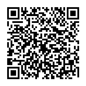 如果不是房车上硕大的地球防卫军的标志和几个人的装束以及身上的武器二维码生成