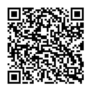 如果不是杨晨在那篇文字中写明了现在还不愿跟重阳宫有太多接触的意愿的话二维码生成