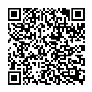 如果不是王者你们认为在整个苍茫大陆上还会有谁能够用音功控制你们的情感二维码生成