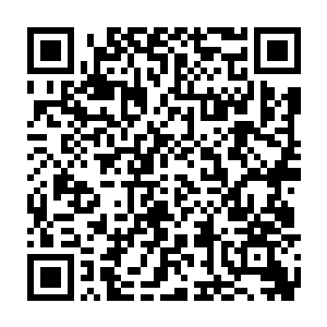 如果不是看着服务员跑来跑去专门为了弄这卡片我就不会去收这张卡片二维码生成