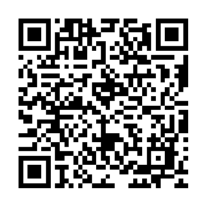 如果不是真的怎么解释这回声和我刚才伸手和踢脚碰到的情况二维码生成