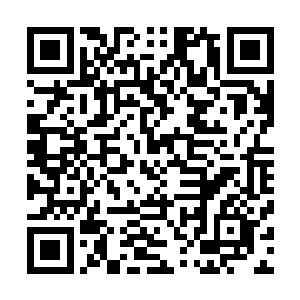 如果不是考虑到他们几个家伙只不过是一群受宠过度的小孩二维码生成