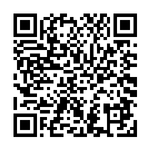 如果不是觉得自己的话在杨风面前没有任何的分量的话二维码生成