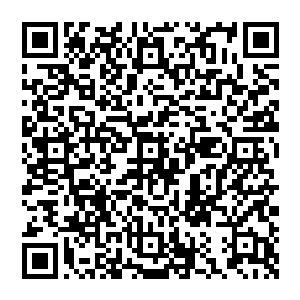 如果不能得到冰龙血冰龙筋的话――难道他这辈子就要留守在这极寒之地和冰龙成为一对相依为命的生死龙二维码生成