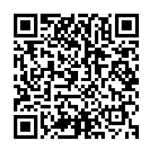 如果云端城里面一下子出现了太多我炼制的伪仙器和半仙器的话二维码生成