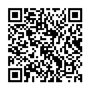 如果仅仅只是一条通往外界的通道人皇前辈不会说出这样的话来二维码生成