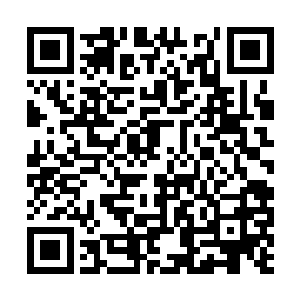 如果从前珍宁公主是因为被母亲伤害而怨恨着的话二维码生成