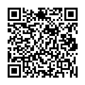 如果他在我们和大刀殿生死拼杀的时候出来偷袭就麻烦了二维码生成