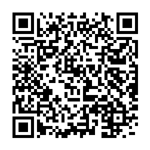 如果他在节目中贬低我们的产品或者质疑蓝医生――这终究是不好的二维码生成