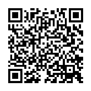 如果他当真是为了你好――当初就不应该那样对你啊――二维码生成