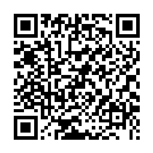 如果他拿不到身为#迪士尼系重要一员#的大梦电影投出的支持票二维码生成