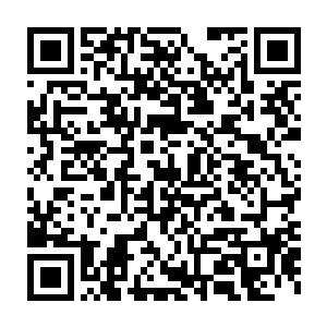 如果他没有放松警惕……他是绝不会被这猝不及防的偷袭所击中的二维码生成