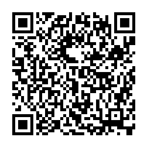 如果他输了那么就意味着以后他在家族内将再也享受不但顶尖的修炼资源二维码生成