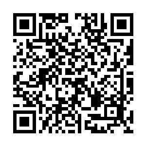 如果你们两人的门派和我们天海皇朝有着什么联系的话二维码生成