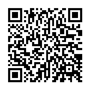 如果你们去求救妖帝或者仙帝也是可以帮助你们压住一时的二维码生成