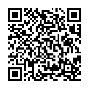 如果你只看他的访谈肯定不会相信荣光之前还对世青赛一无所知二维码生成