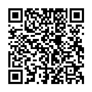 如果你喜欢机器人的话……我也可以帮你建立一个机器人实验室二维码生成