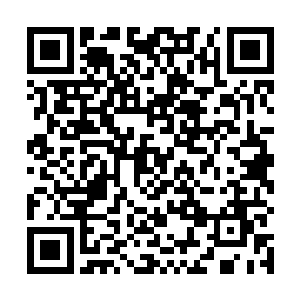 如果你想和我谈从此以后要尊重你爱护你和你保持距离二维码生成