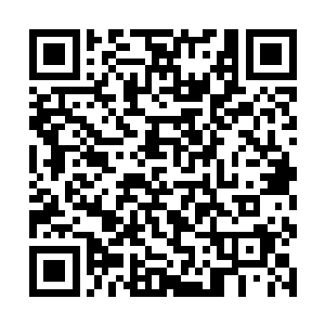 如果你报警把黄毛抓了那他的小弟肯定会上门报复你二维码生成