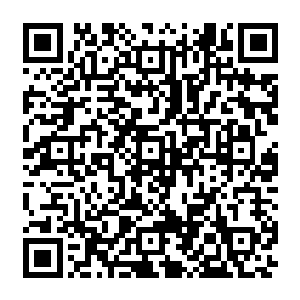 如果你认为你的生命和你本人就是你的这具由各种物质元素和血肉与所组成的身体二维码生成