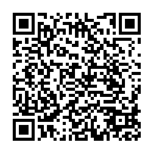 如果你非要给我买一辆上百万的车才会感觉到安心的话……那你随便吧二维码生成