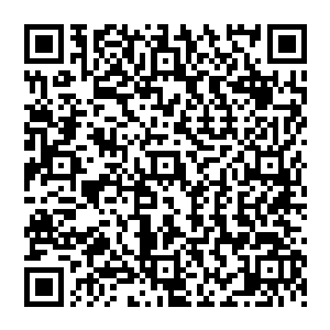 如果再加上这个大家伙上配套的那些同样用超强金属合金制造的可重复使用的金属弩箭与弹夹二维码生成