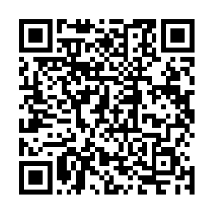 如果再有势力或者修士用卑劣的手段对付联军中的任何一员二维码生成