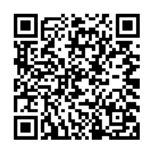 如果再比比叨叨的没完我还真想着要不要将整个拍卖行都搬走二维码生成