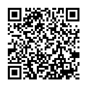 如果刚刚自己没有及时地和夜门的老大尘说要和他们谈正事了二维码生成