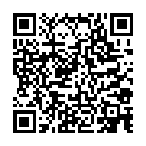 如果另一名总指挥也被杀了……他们今天就全军覆没了二维码生成