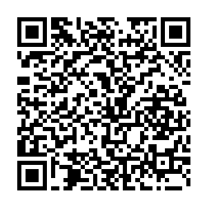 如果各位觉得本书写得还不错请各位务必要收藏点击以及投推荐票二维码生成