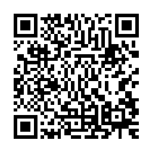 如果各国皇室和五大家族的人知道你害他们这么多族人死掉的话二维码生成