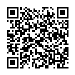 如果因为这件事损失几位……岂不是宗门整体实力下降二维码生成