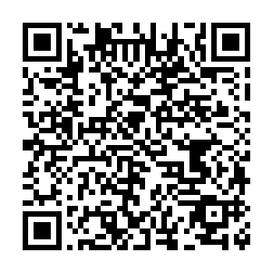 如果在加上岛上数以万记的武装机器人跟已经让他们见识到厉害的机甲二维码生成