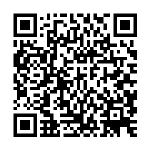 如果在洞府中安心修炼的话只怕现在已经成为一名化神期修士了二维码生成