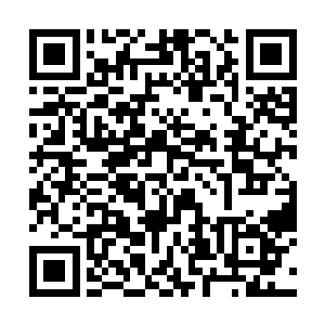 如果姜意林真的能百分百的把握把你爸爸捞出来的话二维码生成