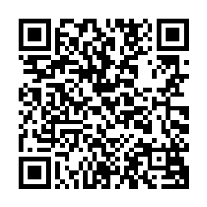 如果它现在没在笼子里早就扑过去在他身上狠狠地蛰上几个大包二维码生成