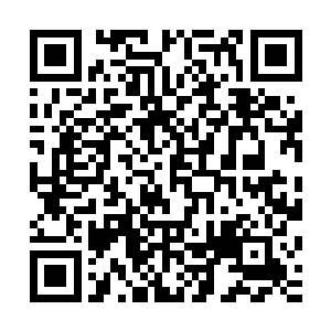 如果小天星在受伤后的短时间内没有注射过消炎止血类的药物二维码生成