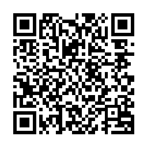 如果建设单位和监理单位以及我们相关部门里有人涉嫌贪赃枉法二维码生成