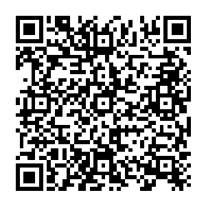 如果当今和总理不信这一套的话或者说他们另有谋划…的话我岂不是没有一点回旋余地二维码生成
